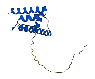 H2BC11 3D structure
