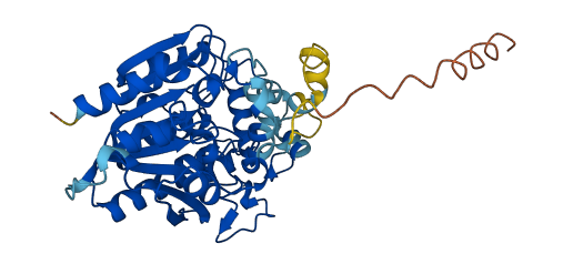 LIPF 3D structure