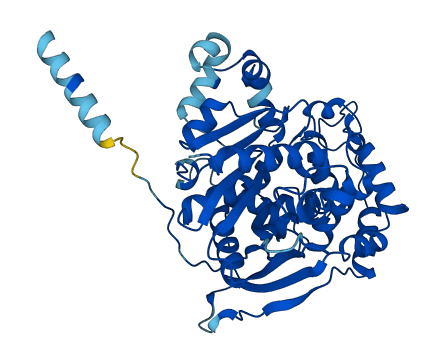 EPHX1 3D structure