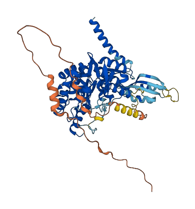 TH 3D structure