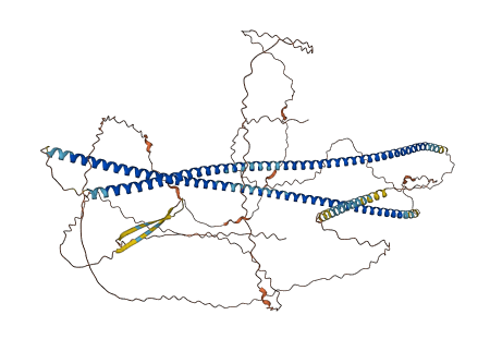 NEFM 3D structure