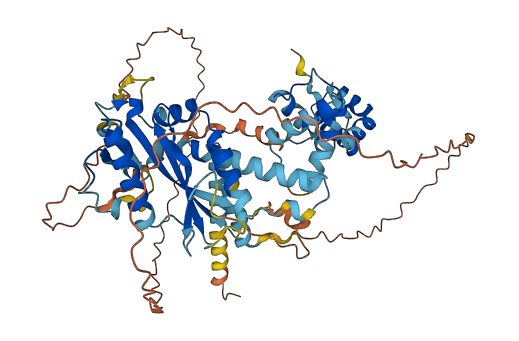 CENPB 3D structure