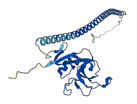 ASGR1 3D structure