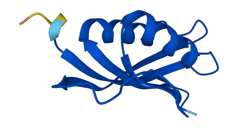 ACYP1 3D structure