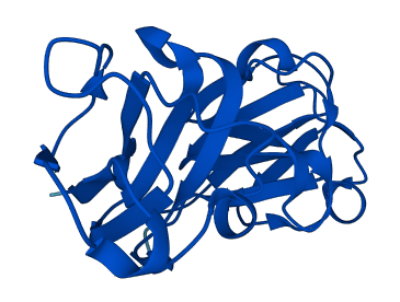 CRYGB 3D structure