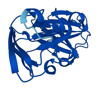CRYGD 3D structure
