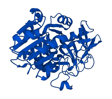 ADH1A 3D structure
