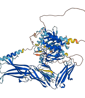 CSF1R 3D structure