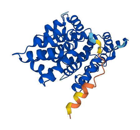ANXA2 3D structure