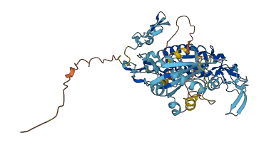 C8A 3D structure