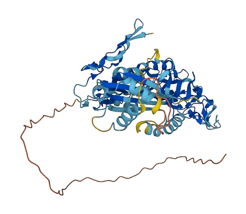 C8B 3D structure