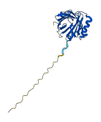 C8G 3D structure