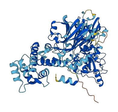 CAPN1 3D structure