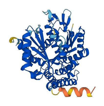 TUBB 3D structure