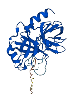 PRSS1 3D structure