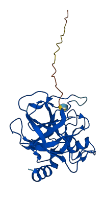 PRSS2 3D structure