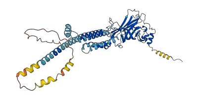 CHRNG 3D structure