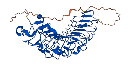 DCN 3D structure
