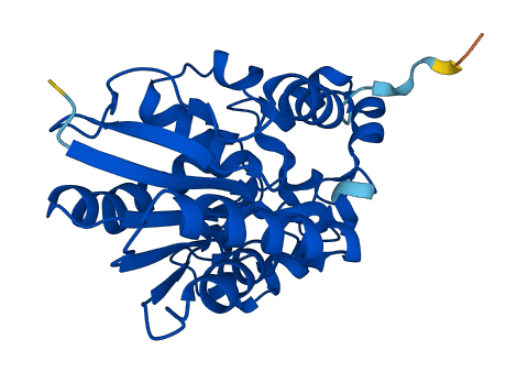 BPGM 3D structure
