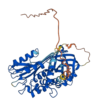 Serpina3k 3D structure
