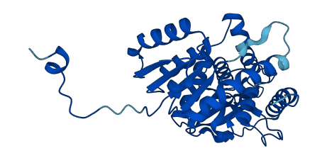 LDHC 3D structure