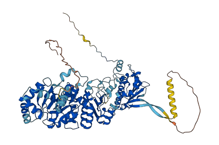 HSP90AA1 3D structure