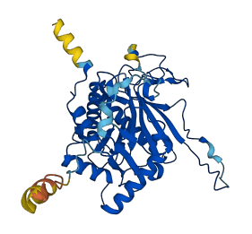 GALT 3D structure
