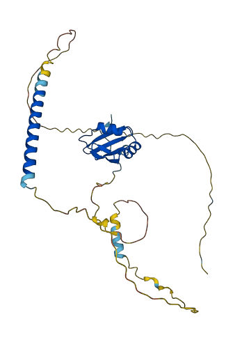 HNRNPC 3D structure