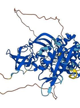YES1 3D structure