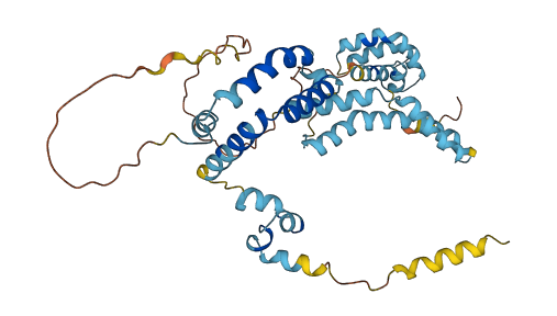 SFTPB 3D structure