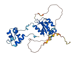 ERCC1 3D structure