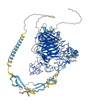 THBS1 3D structure