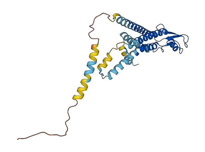 GJB1 3D structure