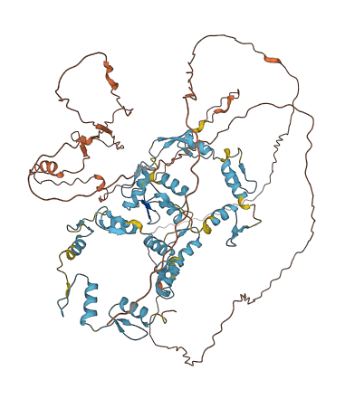 ZFY 3D structure