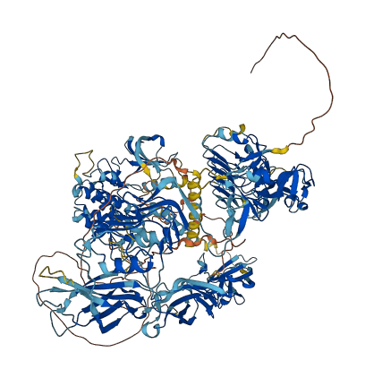 IGF1R 3D structure