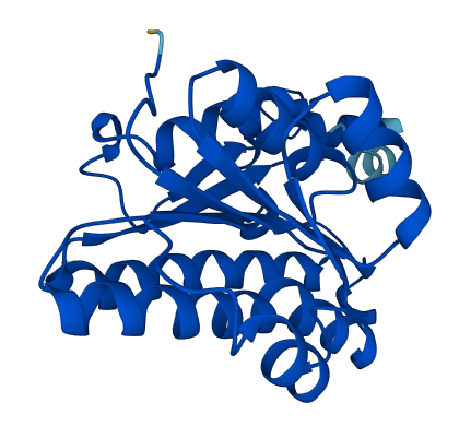 Cbr2 3D structure