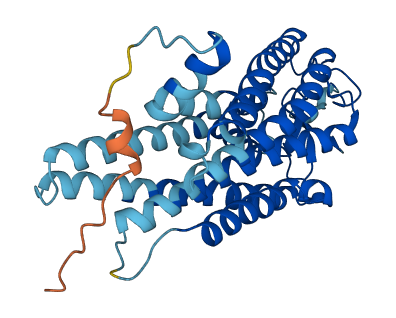 RHO 3D structure