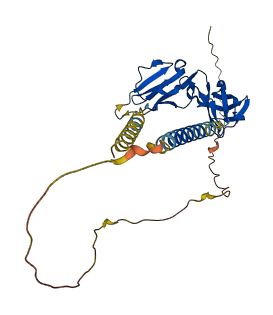 Fcgr2 3D structure