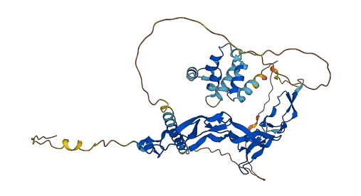 NGFR 3D structure