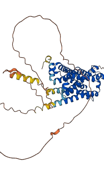 CHRM2 3D structure
