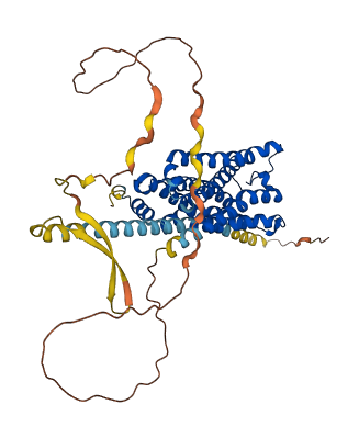 CHRM4 3D structure