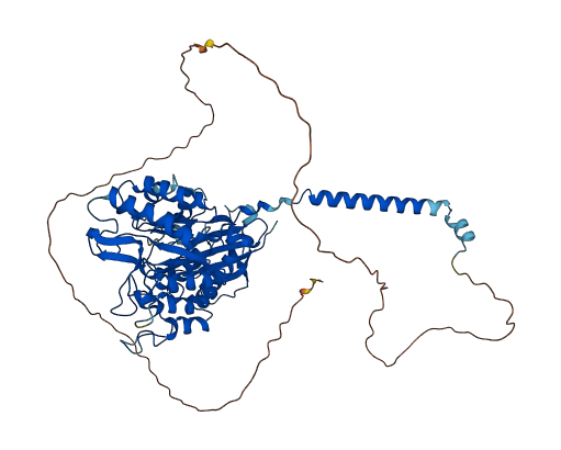 SLC3A2 3D structure