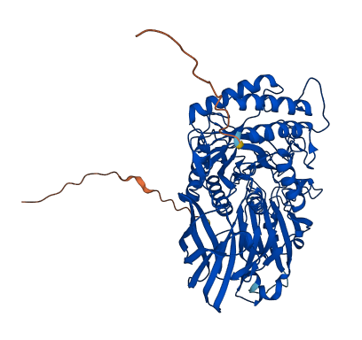 GUSB 3D structure