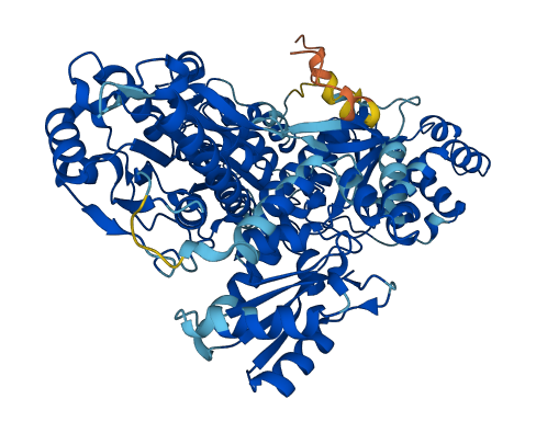 PFKM 3D structure