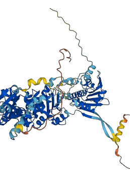 HSP90AB1 3D structure