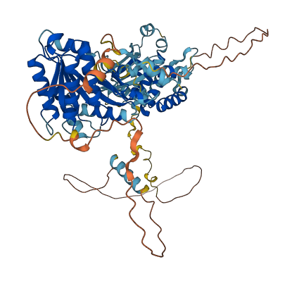SRPRA 3D structure