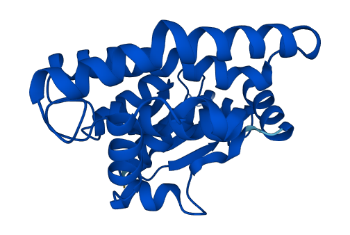 GSTA1 3D structure