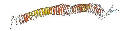 Phxr5 3D structure