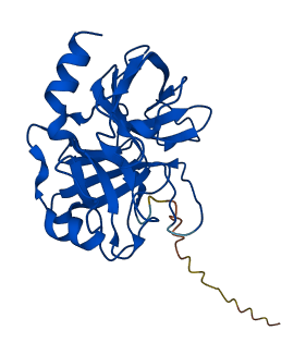 Try3 3D structure