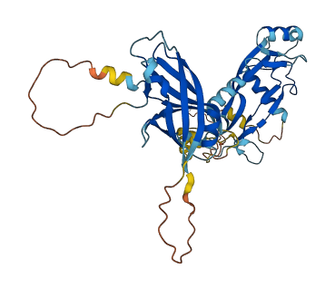 INHBA 3D structure